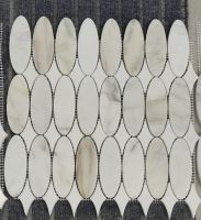 Ellipse Calacatta Honed 11.75 x 12